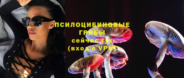 МДПВ Алексеевка