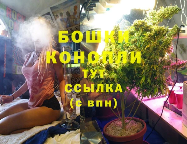 Альфа ПВП Алзамай